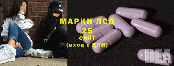 PSILOCYBIN Аркадак