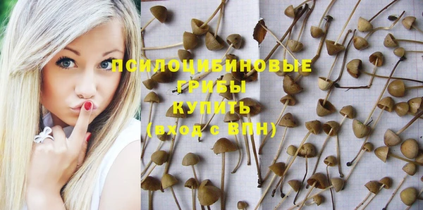 СК Пестово