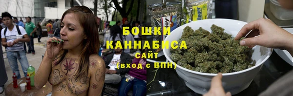 PSILOCYBIN Аркадак